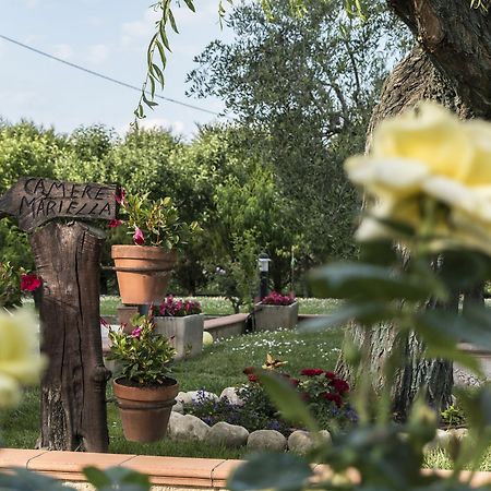 Camere Mariella Assisi Eksteriør bilde
