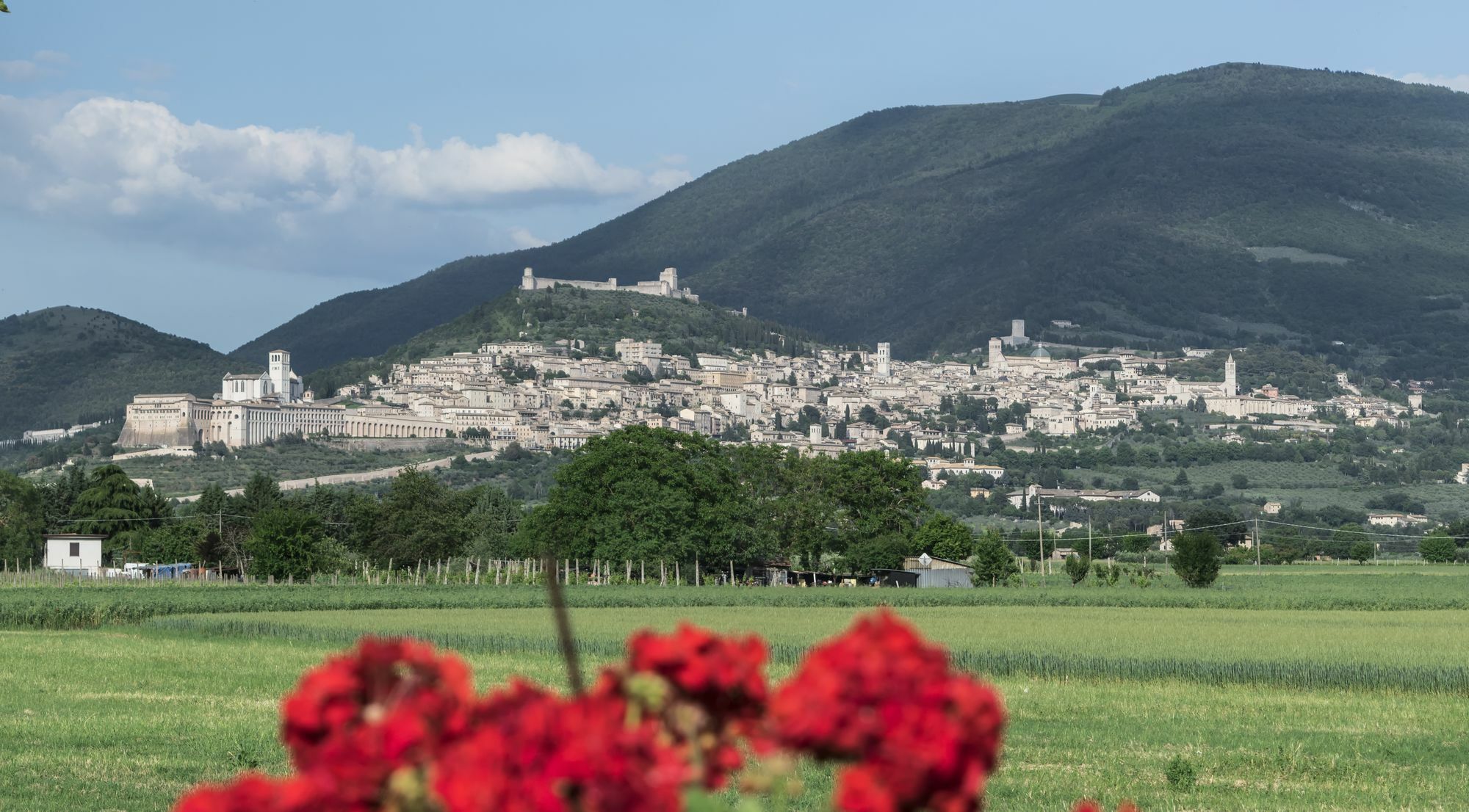 Camere Mariella Assisi Eksteriør bilde