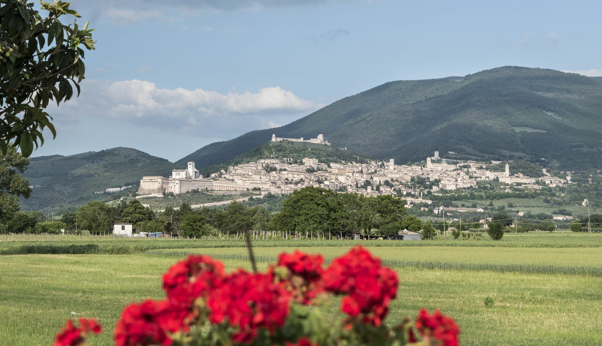 Camere Mariella Assisi Eksteriør bilde